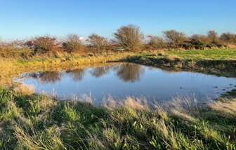 Groundworks case studies